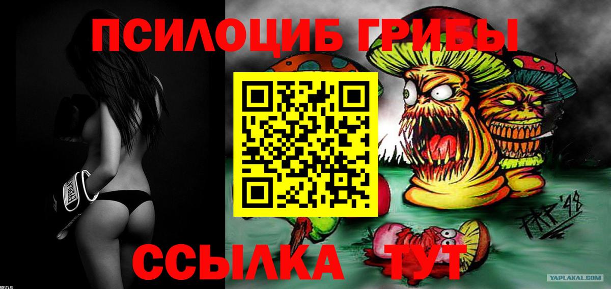 купить   Вход с VPN  Зерноград  Псилоцибиновые грибы Cubensis  Псилоцибиновые грибы MAGIC MUSHROOMS 